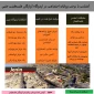اینفوگرافی/ زندگی اجتماعی در جنین