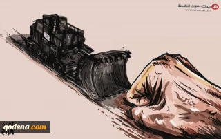 جنين الثورة