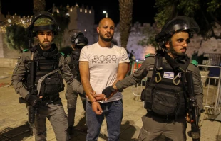 اینفوگرافی قدسنا/

تعداد جوانان فلسطینی در فلسطین اشغالی چقدر است؟ 2