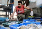 صید خرچنگ از سواحل غزه 4