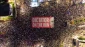 For 39th straight week:

Massive rallies against Israeli regime's policies