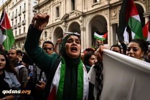 همبستگی جهانی با مردم فلسطین 4
