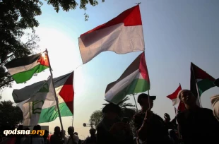 همبستگی جهانی با مردم فلسطین 5