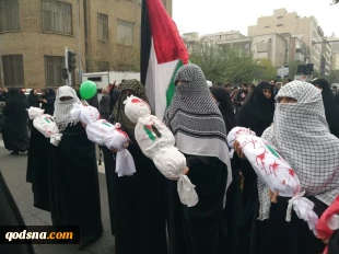 گزارش تصویری روز 13 آبان 8
