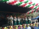 گزارش تصویری روز 13 آبان1402 12