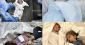 Gaza: Israel martyrs one civilian every four minutes