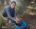 در سومین روز آتش بس موقت در غزه زندگی هنوز جاری است 5