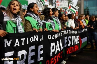 آمارها سخن می گویند

دنیا در حمایت از فلسطین به پا خاسته است