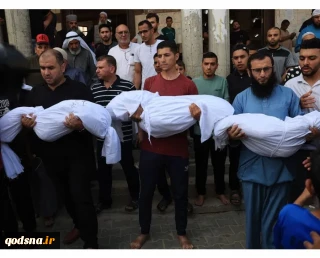 Over 3,700 Palestinian students martyred in Gaza, West Bank
