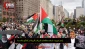 مبلغ مسیحی و استاد مطالعات آمریکایی-آفریقایی از آمریکا در گفتگو با خبرگزاری قدس:

غزه یک مشکل قابل حل است اما اراده در میان نخبگان ثروتمند جهان عرب و اسلام وجود ندارد/ سازمان ملل ابزاری به نفع کشورهای سفیدپوست غربی است/ قیام فلسطینیان میلیون‌ها متحد جهانی را برای آنان به ارمغان آورد