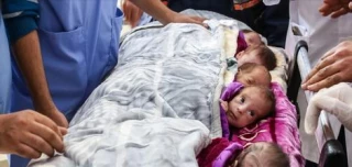 هفتاد و سومین روز عملیات طوفان الاقصی و جنایات رژیم صهیونیستی علیه غزه؛

حمله به بیمارستان‌ ناصر در غزه/ درگیری‌های شدید در خانیونس