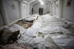PCBS: Palestinian martyr toll is the largest since 1948