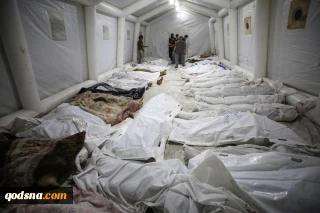 PCBS: Palestinian martyr toll is the largest since 1948
