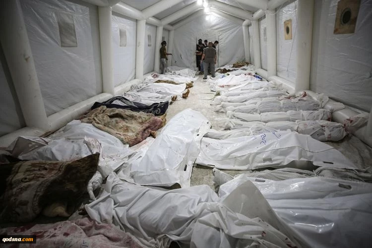 PCBS: Palestinian martyr toll is the largest since 1948