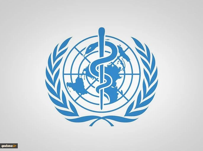 منظمة الصحة العالمية: يجب وقف حمام الدم المستمر في قطاع غزة منذ 3 أشهر
 2