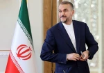 Iran hails ICJ ruling against Israel genocide case in Gaza, urges urgent trial of regime officials