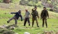 Zionist troops, settlers carried out 1,593 attacks on Palestinians in the West Bank in January
