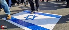 فلسطین در جای جای راهپیمایی پر شکوه یوم الله 22 بهمن 5