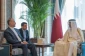 وزير الخارجية الايراني يبحث مع امير قطر الأوضاع في غزة والأراضي الفلسطينية المحتلة