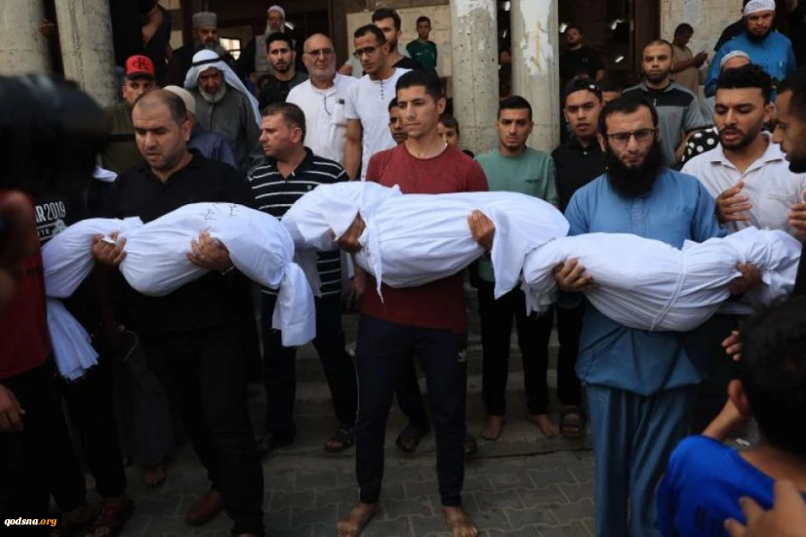 الصحة بغزة: الاحتلال ارتكب 11 مجزرةً خلال الـ 24 ساعة الماضية

 2