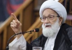 آية الله قاسم: طوفان الأقصى سيواصل زحفه وتدميره للعدو ولكلّ باطلٍ في الأرض
 2
