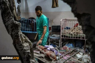Gaza’s health ministry calls on UN to protect Nasser Hospital