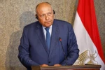 وزير الخارجيّة المصري: لا نَنوي إعداد أماكن آمنة لتهْجير الفلسطينيّين

 2