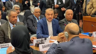 'Diplomatic catastrophe of century': Iran slams UNSC inaction vs. Gaza genocide