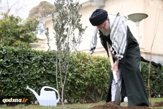 IR Leader plants olive sapling in honor of Palestine’s resistance