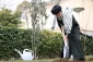 IR Leader plants olive sapling in honor of Palestine’s resistance
