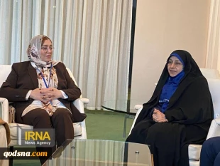 مساعدة الرئيس الإيراني لشؤون المرأة: ندعو  نساء العالم لبذل المزيد من الجهود لتسريع إرسال المساعدات الإنسانية الى غزة 3
