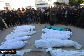 Gaza: Death toll surges to 31,645 martyrs