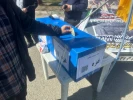 تجمع قرآني حاشد بطهران تنديدا بالعدوان الصهيوني على غزة  7