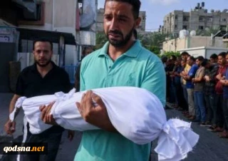 الحرب في اليوم 175 :شهداء بالعشرات والاحتلال يفرج عن اكثر من 100 اسير