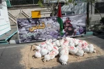 مراسم راهپیمایی  روز جهانی قدس 5