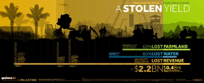 The Cost of Israeli Restrictions on Palestinian Farming