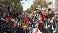 Iranians hold rally in support of operation 