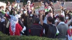 Pro-Palestinian protesters, many of whom are Jewish
