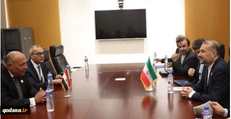 Iranian, Egyptian foreign ministers discuss Gaza onslaught