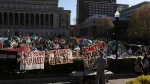 Students anti-war protests in US and lessons to be learned