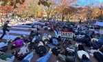 Palestinian popularity, divestment campaign gaining momentum in US