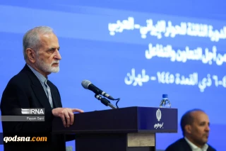 رئيس المجلس الاستراتيجي للعلاقات الخارجية في إيران: حل القضية الفلسطينية فشل نتيجة الدعم الغربي لإسرائيل