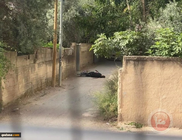 الاحتلال يطلق عملية عسكرية...ستة شهداء على الأقل في جنين  3