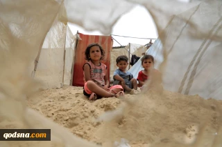 US-backed Israeli genocide in Gaza enters day 231