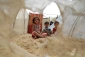 US-backed Israeli genocide in Gaza enters day 231