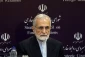 خرازی رئیس شورای راهبردی روابط خارجی جمهوری اسلامی ایران:

در صورت جنگ فراگیر با تمام امکانات از حزب‌الله حمایت‌ می‌کنیم