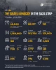 Statistics on the Israeli Genocide in the Gaza Strip 2