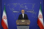 Iran FM spox:

Zionist regime not interested in Gaza ceasefire 2
