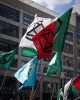 تظاهرات در نیویورک در حمایت از فلسطین
 5