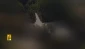 حزب الله يواصل قصف المستوطنات وتجمعات الاحتلال.. ما تفاصيل عملياته؟